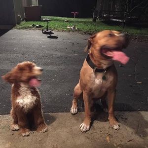 Meet your Posher, Judy